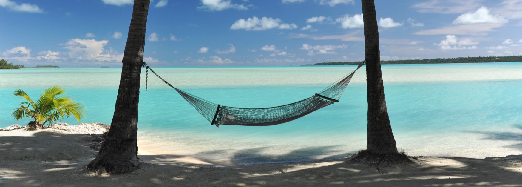 hammock